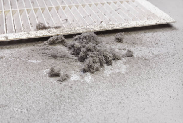 Best Air Duct Sanitizing Services  in Tierra Verde, FL