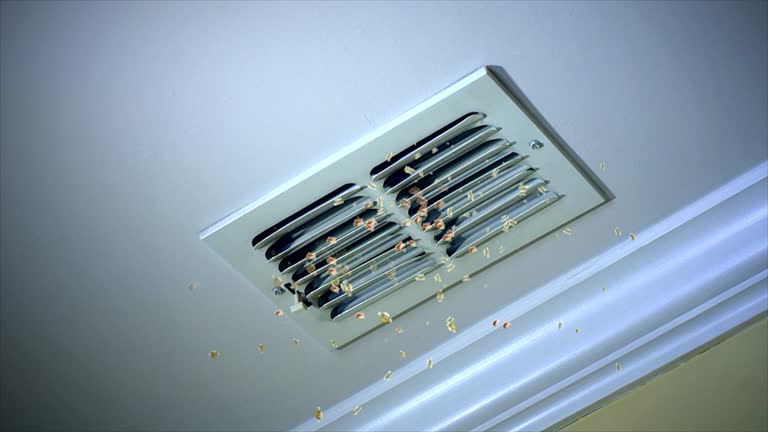 Best HVAC Air Duct Cleaning  in Tierra Verde, FL