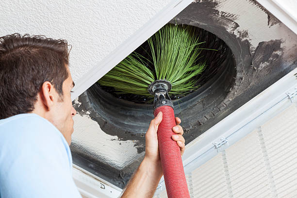 Best Air Duct Cleaning Near Me  in Tierra Verde, FL